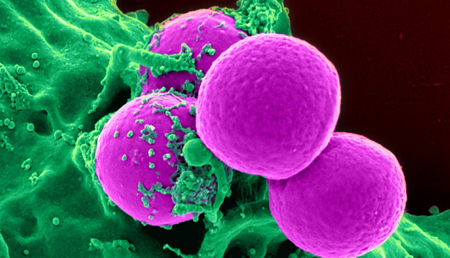 Descrita una señal clave en la comunicación intercelular que podría ser clave para terapias génicas