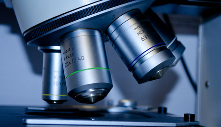 Los investigadores encuentran una nueva interacción genética asociada con un mayor riesgo de EM