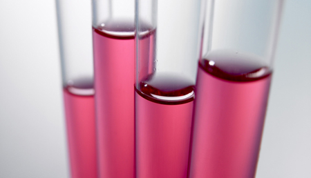 Desvelan las claves que explican las diferencias individuales de cada sistema inmunológico