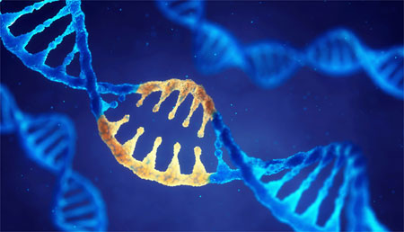 "La cicatriz de deficiencia de recombinación homóloga en el cáncer avanzado: orientación agnóstica de la reparación del ADN dañado”