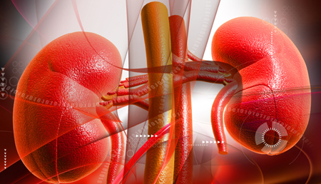 Describen un nuevo método de diagnóstico de la cistinuria mediante un examen de orina