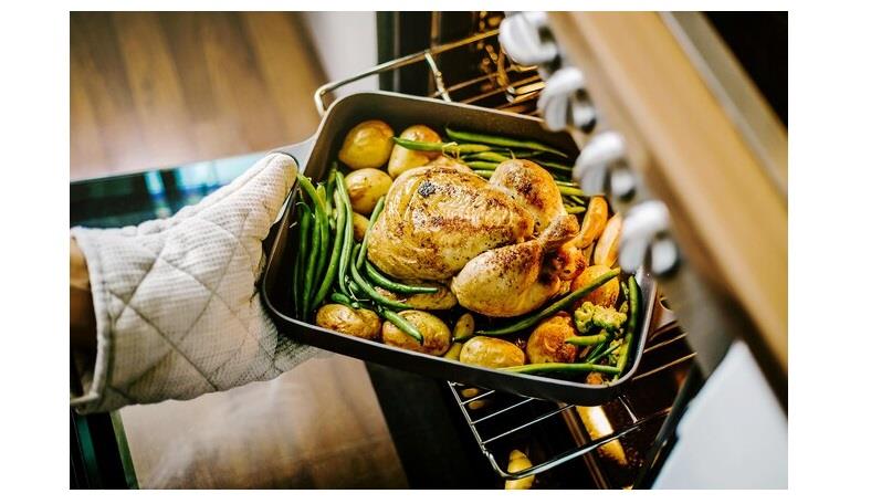 الدجاج الدجاج