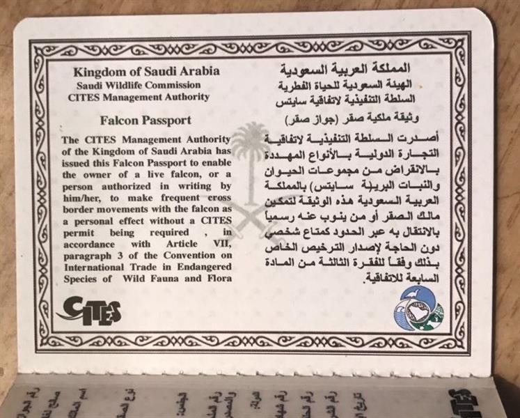 الصورة الصورة