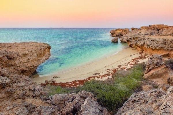 1285 جزيرة تمتلكها المملكة في البحر الأحمر والخليج العربي.. تعرف على بعضها (صور)