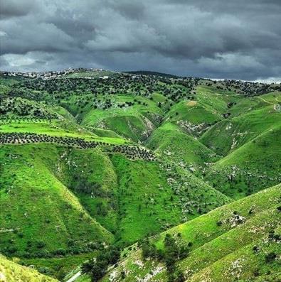 صور ومقاطع نشرها سعودي عن جولاته في الأردن تحظى بتداول واسع بين الأردنيين ويطالبون بتكريمه صور ومقاطع نشرها سعودي عن جولاته في الأردن تحظى بتداول واسع بين الأردنيين ويطالبون بتكريمه