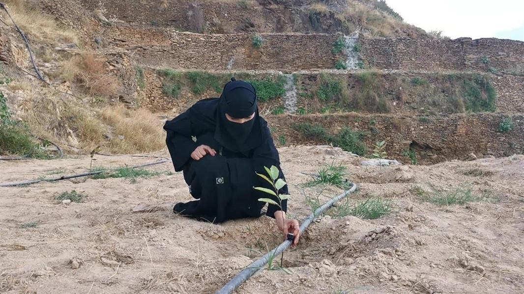 سيدة سعودية تدير "نزلاً" ريفياً بجازان.. وتتحدث عن خطتها المستقبلية 