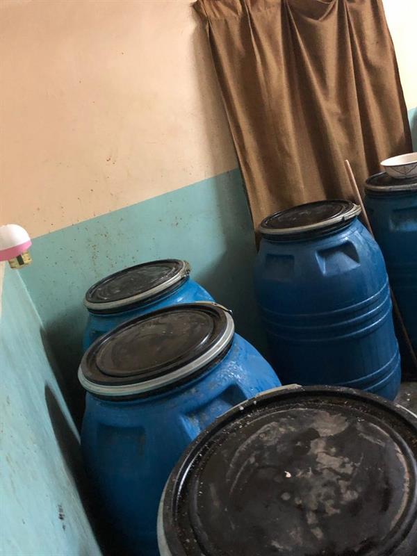 الصور الصور