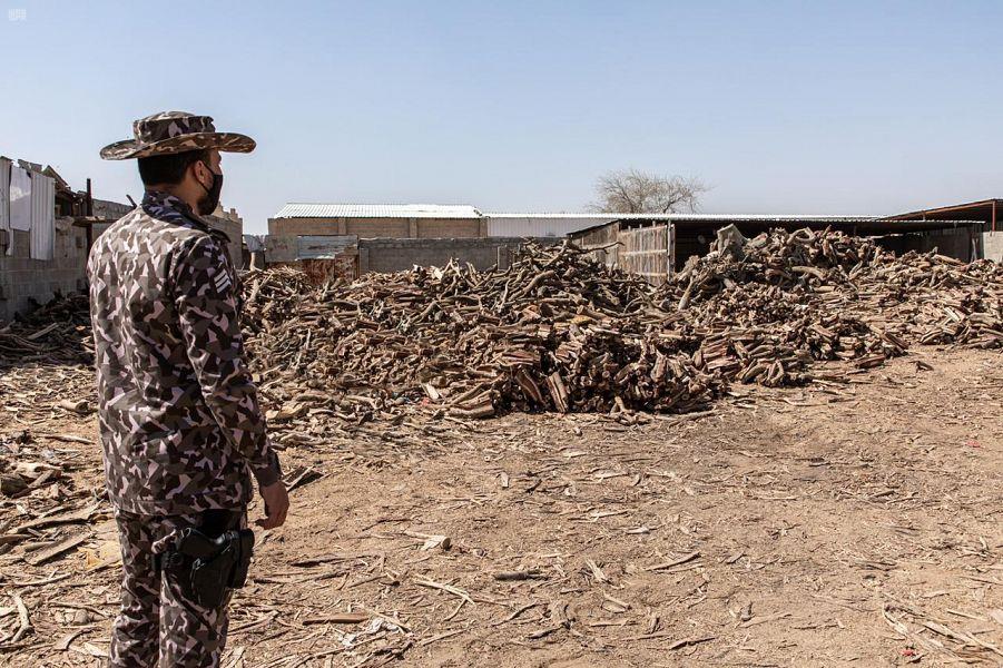  ضبط أكثر من ألف طن من الحطب المحلي المعروض للبيع في مدينة الرياض