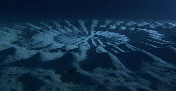 دائرة غامضة