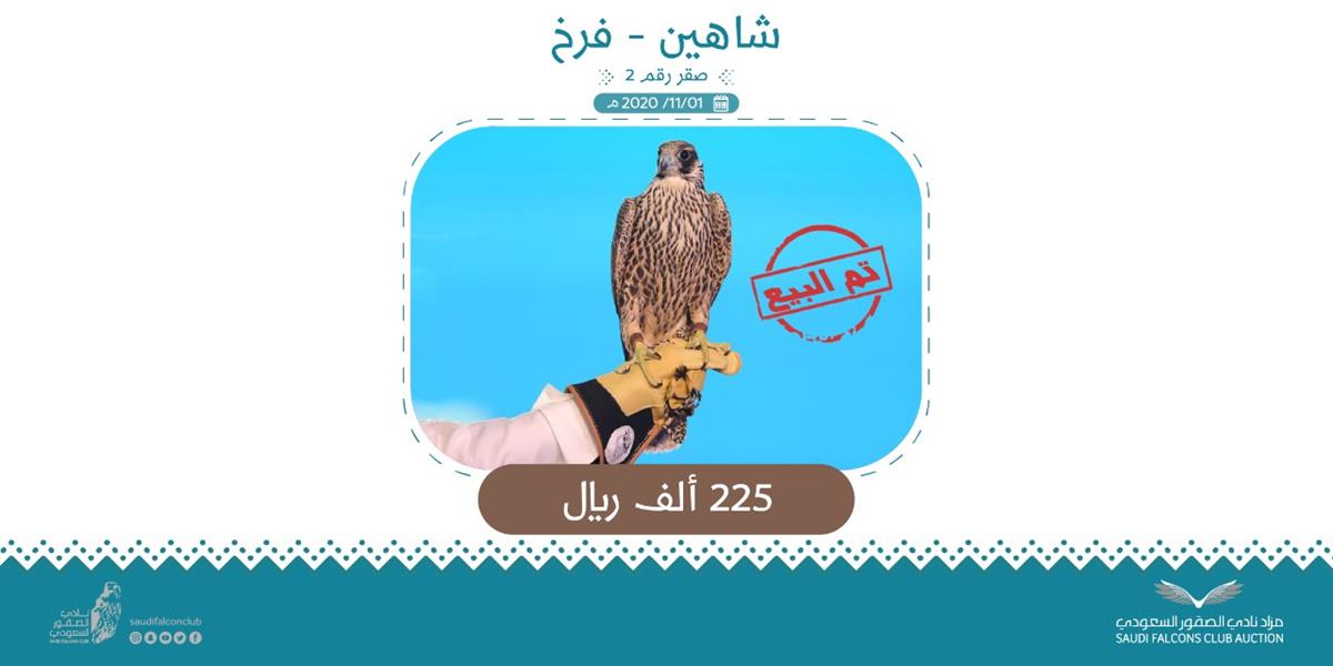 بيع صقر بـ 225 ألفاً في مهرجان الصقور بيع صقر بـ 225 ألفاً في مهرجان الصقور