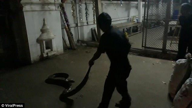 أفعى ضخمة تخنق رجلاً حتى الموت أمام شقيقته