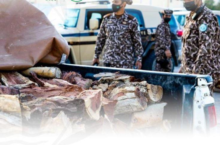 ضبط 26 مخالفاً لنظام البيئة بحوزتهم كمية من الحطب المحلي