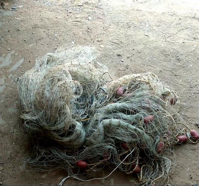 ضبط 5 مواطنين و3 مقيمين مخالفين لأنظمة الصيد البحري بمحافظة جدة 