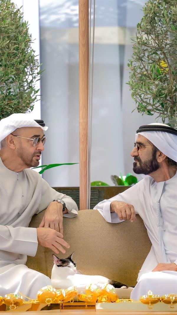 قطة تخطف الأنظار خلال لقاء محمد بن زايد ومحمد بن راشد.