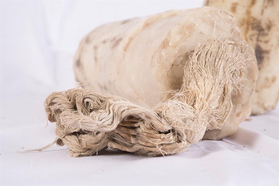 مكتبة المسجد النبوي الشريف 