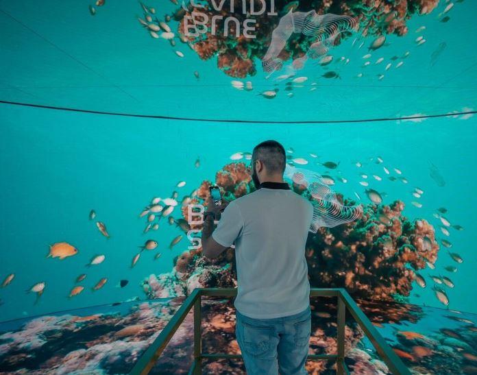 جناح المملكة