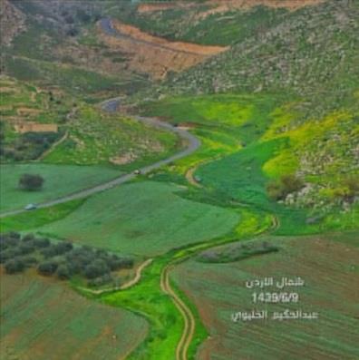 صور ومقاطع نشرها سعودي عن جولاته في الأردن تحظى بتداول واسع بين الأردنيين ويطالبون بتكريمه صور ومقاطع نشرها سعودي عن جولاته في الأردن تحظى بتداول واسع بين الأردنيين ويطالبون بتكريمه