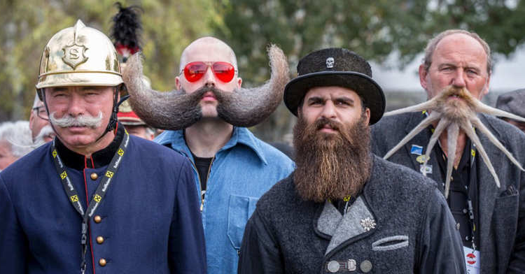 تستضيف مدينة 