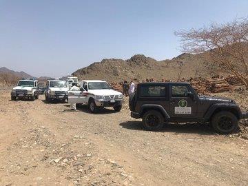 مصادرة 60 طناً من الحطب والفحم المحلي مصادرة 60 طناً من الحطب والفحم المحلي