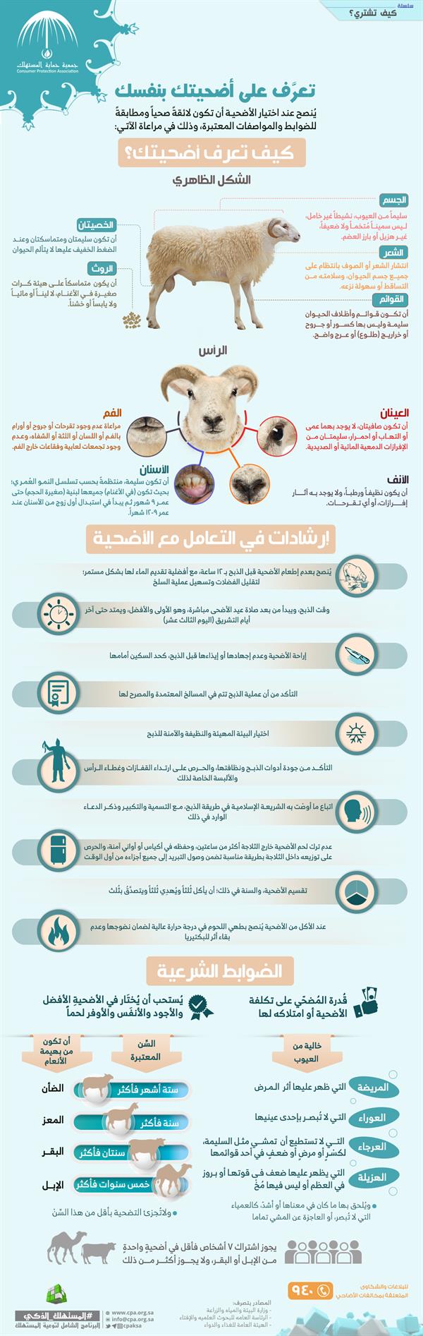 بالانفوجراف.. 