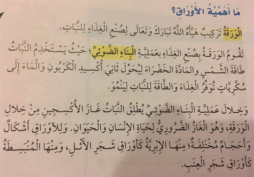 الصورة