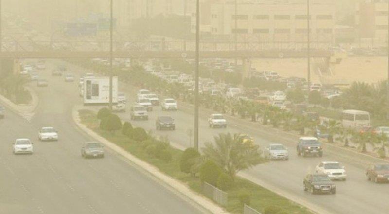 أخبار 24 مختص يكشف أسباب تأخر موسم الغبرة على المملكة هذا العام