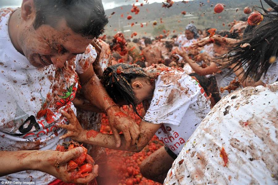 مهرجان الطماطم مهرجان الطماطم