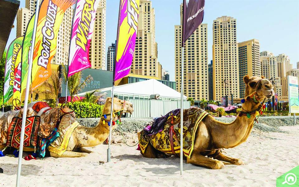 تعبيرية تعبيرية