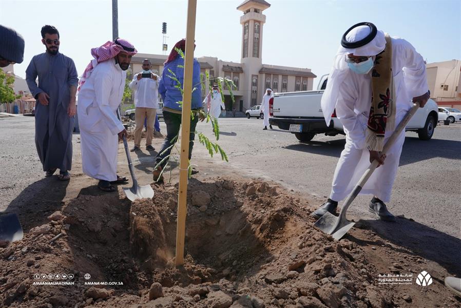 أمانة المدينة المنورة تطلق مبادرة تشجير ساحات المساجد بالمدينة أمانة المدينة المنورة تطلق مبادرة تشجير ساحات المساجد بالمدينة