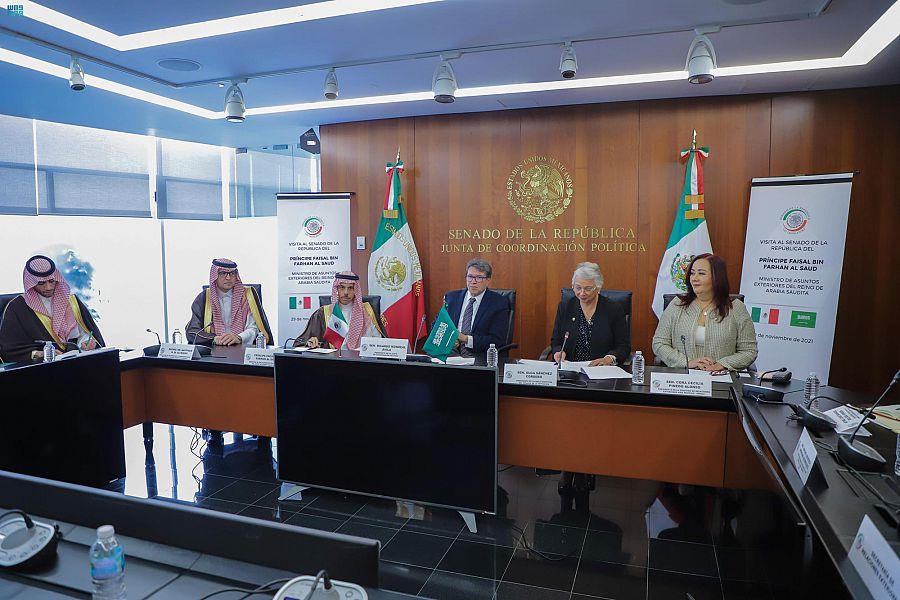 وزير الخارجية يلتقي رئيسة مجلس الشيوخ المكسيكي