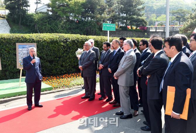 الصور الصور