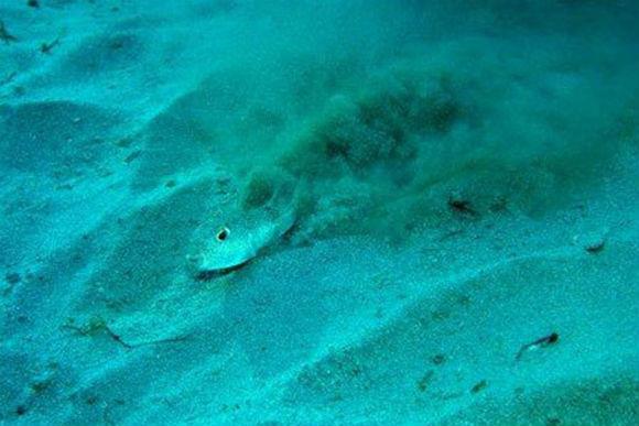 دائرة غامضة