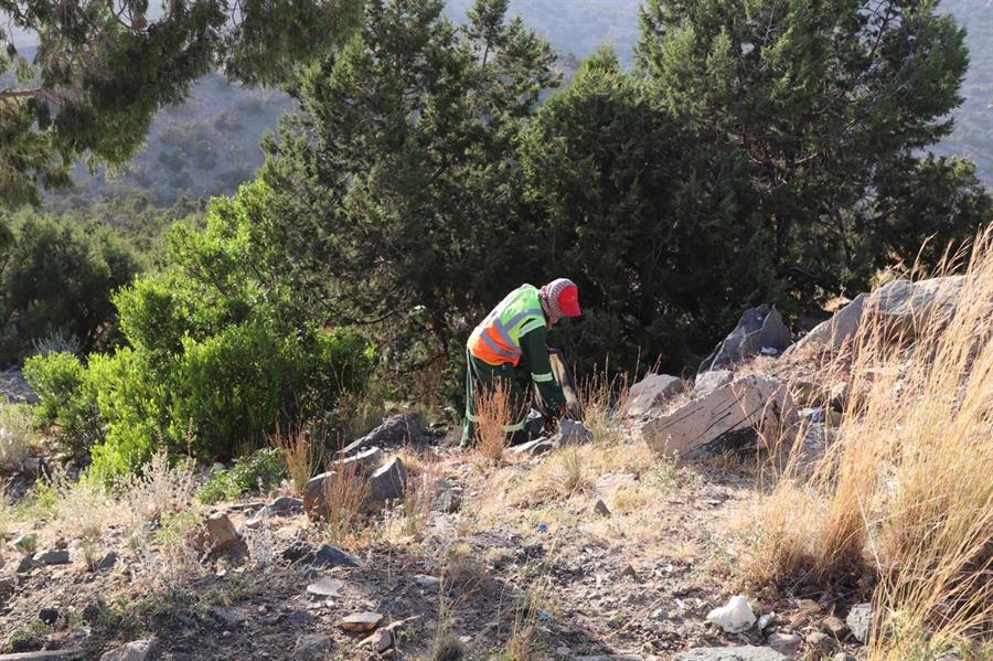 الأمانة العامة بالطائف