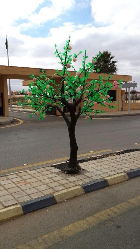 بعد صور متداولة وانتقاد عضو 