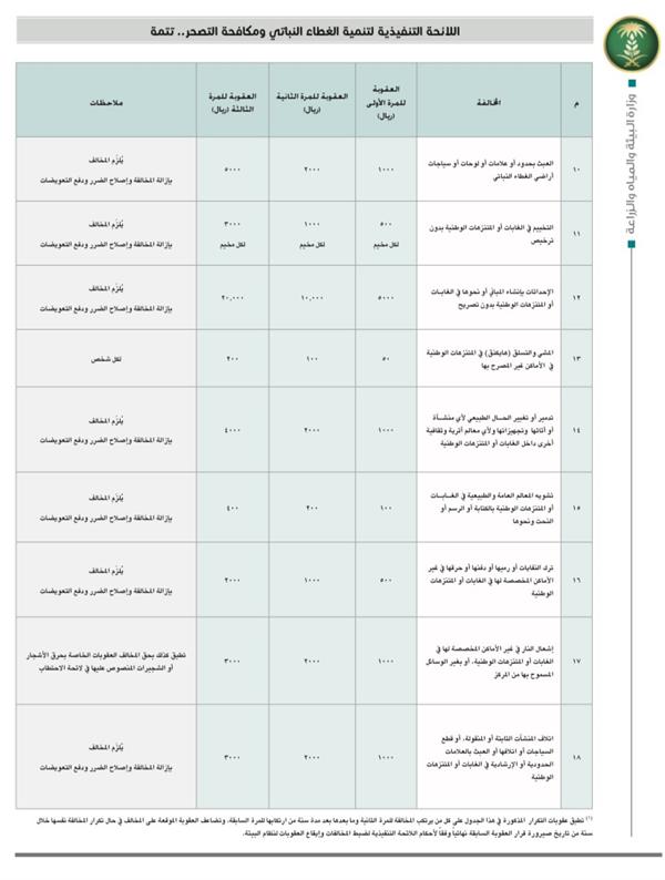 "البيئة والمياه" تكشف تفاصيل اللائحة التنفيذية لتنمية الغطاء النباتي ومكافحة التصحر والعقوبات المقررة 