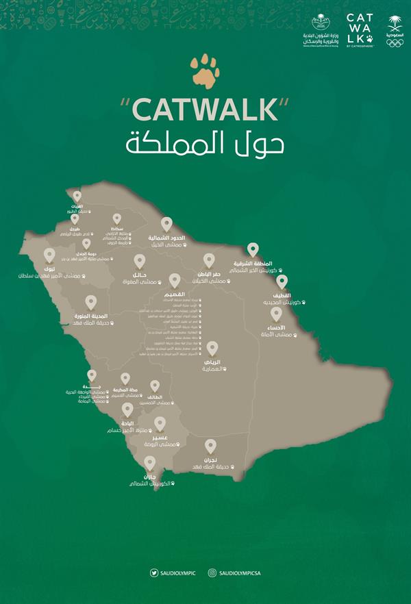 مبادرة عالمية للمشي 7 كلم لحماية القطط