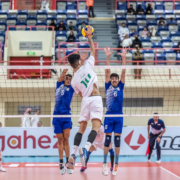 أخضر الطائرة