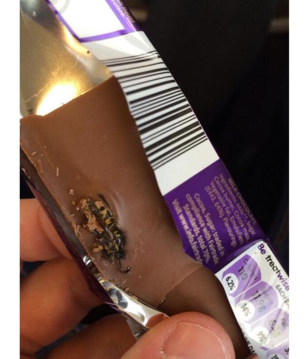 بريطاني يكتشف دبوراً في شيكولاتة