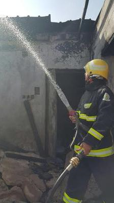 الصور الصور