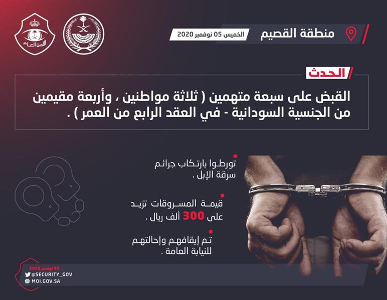الإطاحة بـ3 مواطنين و4 سودانيين بالقصيم تورطوا في سرقة إبل قيمتها أكثر من 300 ألف ريال