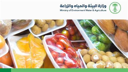 أخبار 24 | بدb