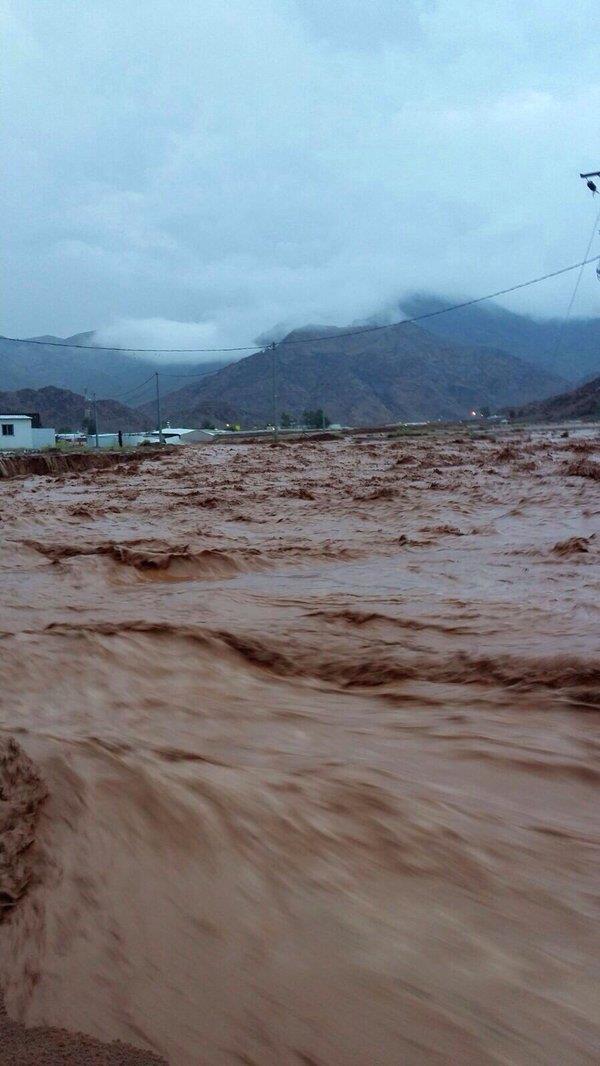 بالفيديو والصور.. أمطار وسيول بعدد من الأودية بمنطقة تبوك صباح اليوم