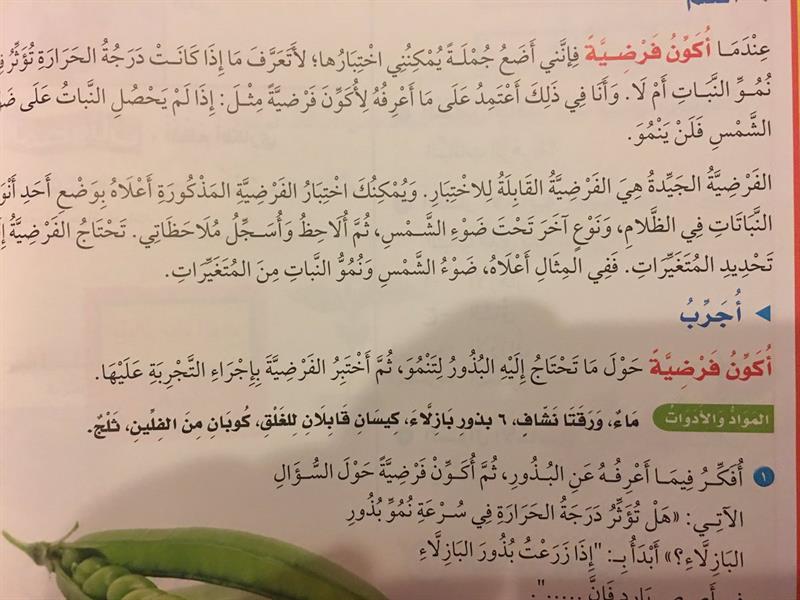الصور