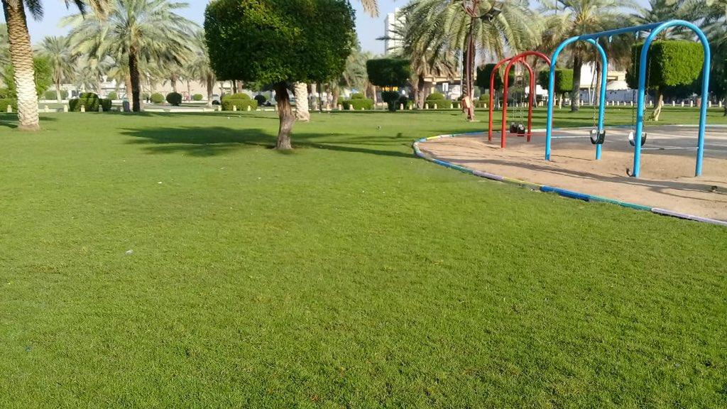 زراعة 55 ألف زهرة على طريق المسجد الحرام بمكة 