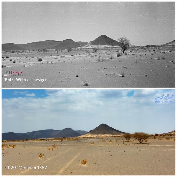 مواطن يوثّق مقارنة بين مناطق في المملكة التقطت لها صور قبل 100 عام ووضعها الحالي مواطن يوثّق مقارنة بين مناطق في المملكة التقطت لها صور قبل 100 عام ووضعها الحالي