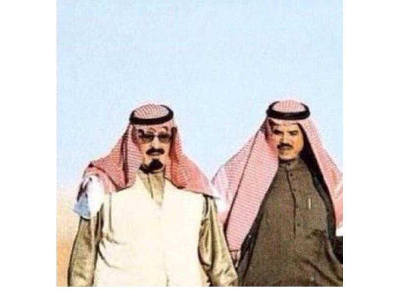 جولات في الخفاء جولات في الخفاء