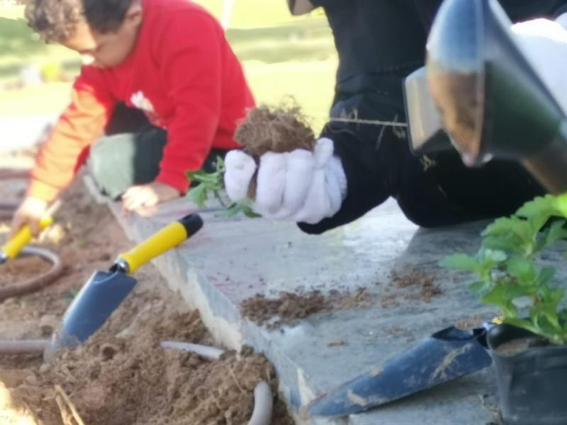 الهيئة الملكية بينبع تدشن مبادرة "واجهتنا خضراء".. والسكان يتفاعلون (صور) 