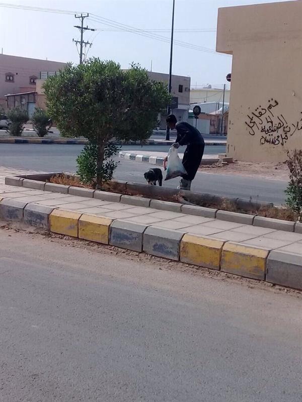 الصورة الصورة