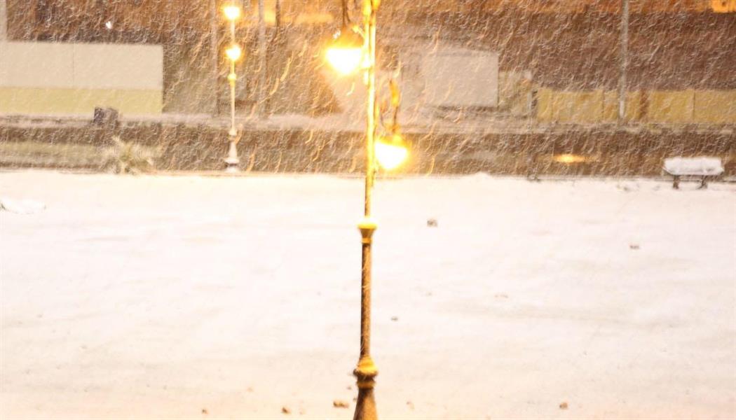 الصورة الصورة