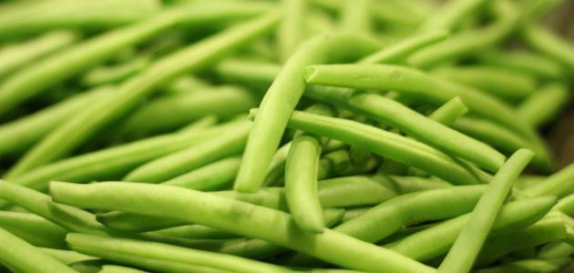 الفاصوليا الخضراء